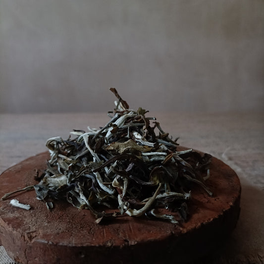 Snow buds- White tea (白茶) SOLD OUT