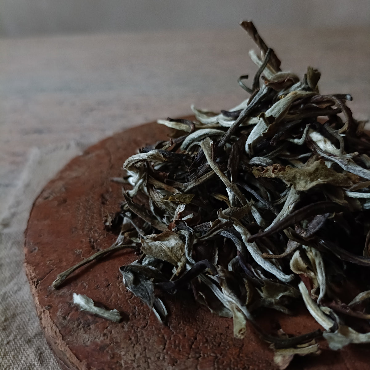 Snow buds- White tea (白茶) SOLD OUT