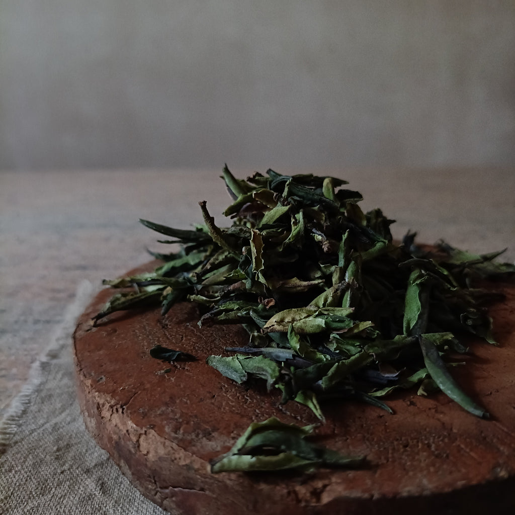 Purity - Wild White Tea (白茶)