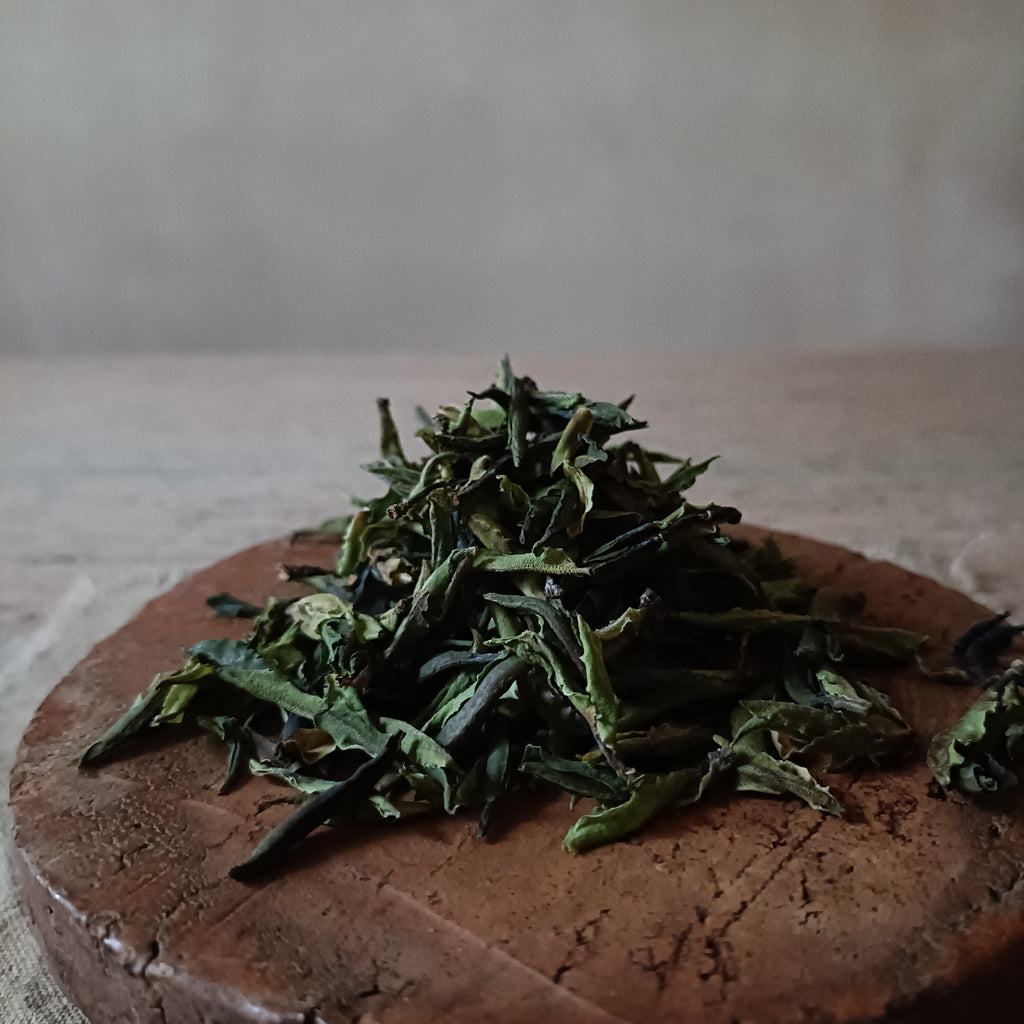Purity - Wild White Tea (白茶)