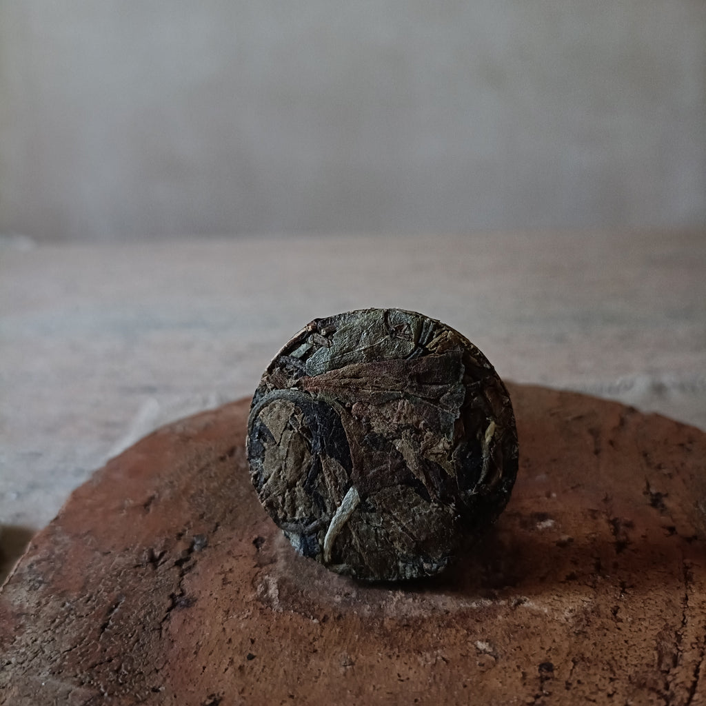 Petals in the Wind - White tea (白茶)