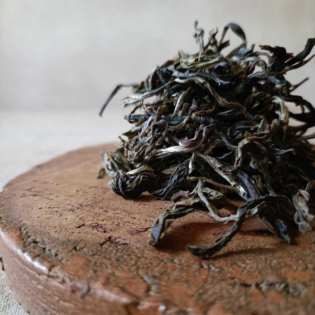 Confidant 25 -Mighty sheng collection- Sheng Puer (盛普洱)