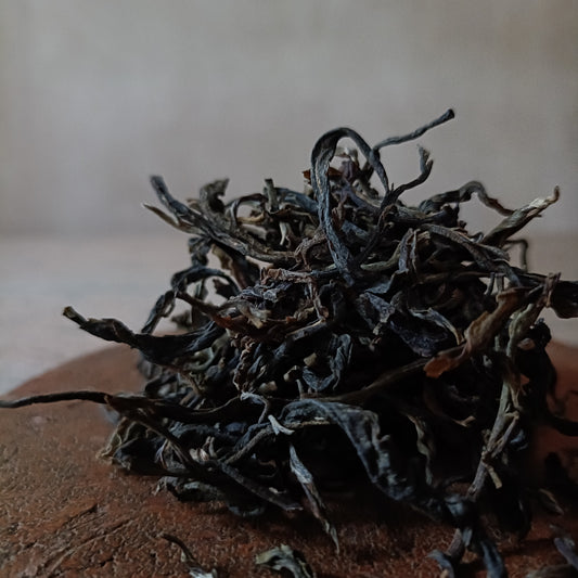 Confidant 25 | Mighty Sheng Collection | Sheng Pu’er (生普洱)