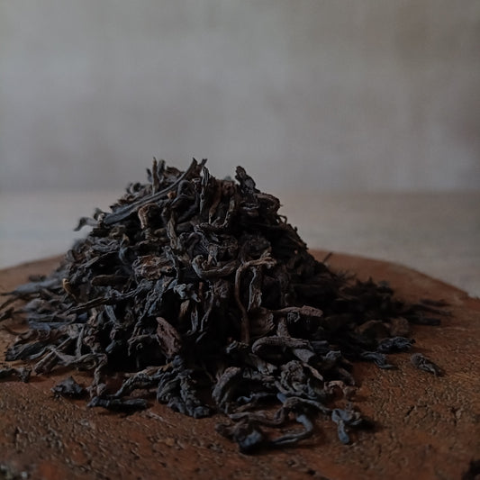 Distant Winds | Distant Range | Shou Pu’er (熟普洱)