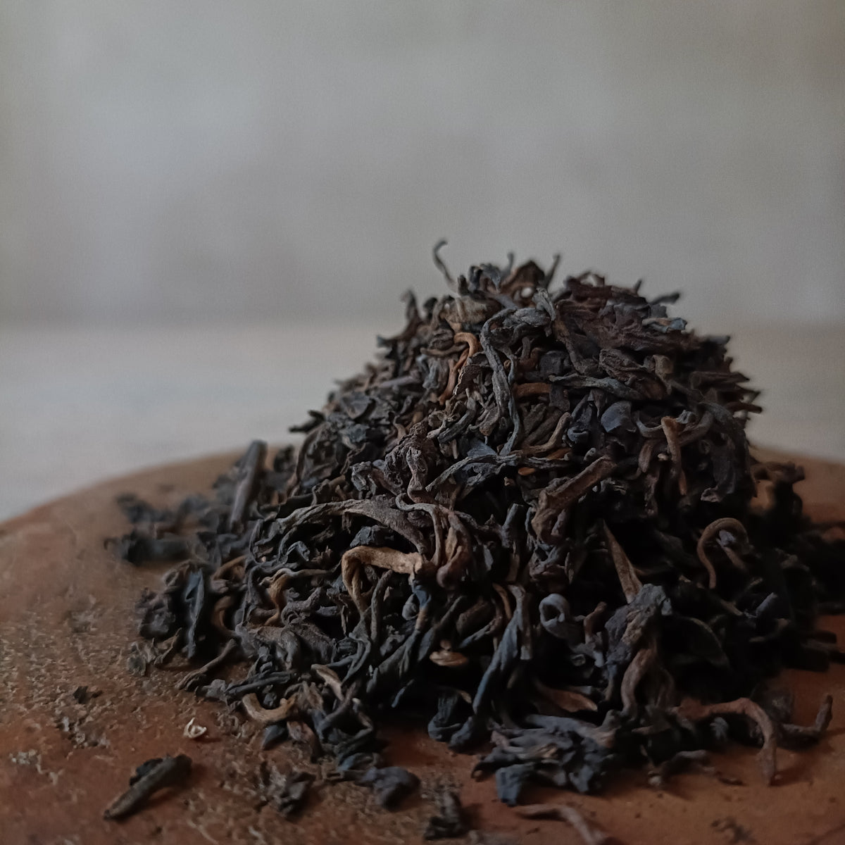 Adrift | Shou Pu’er (熟普洱)