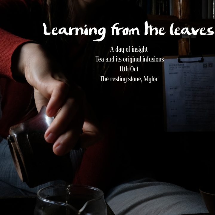 Learning from the Leaves- In-person tea course (Oct 2025)