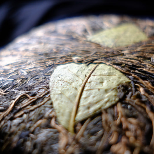 Essence in Time | 2018 Lincang Sheng Pu’er